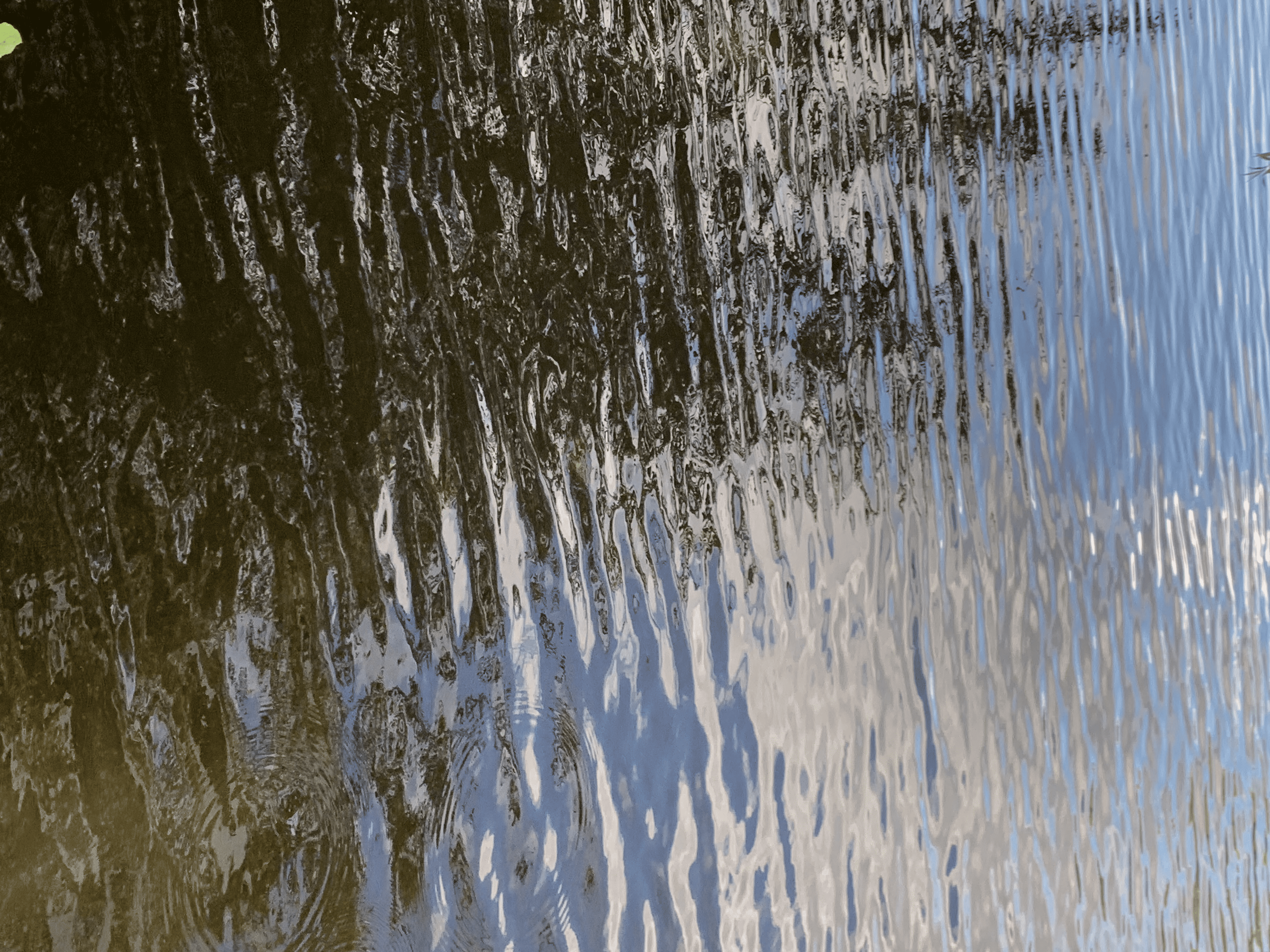 Artwork 5