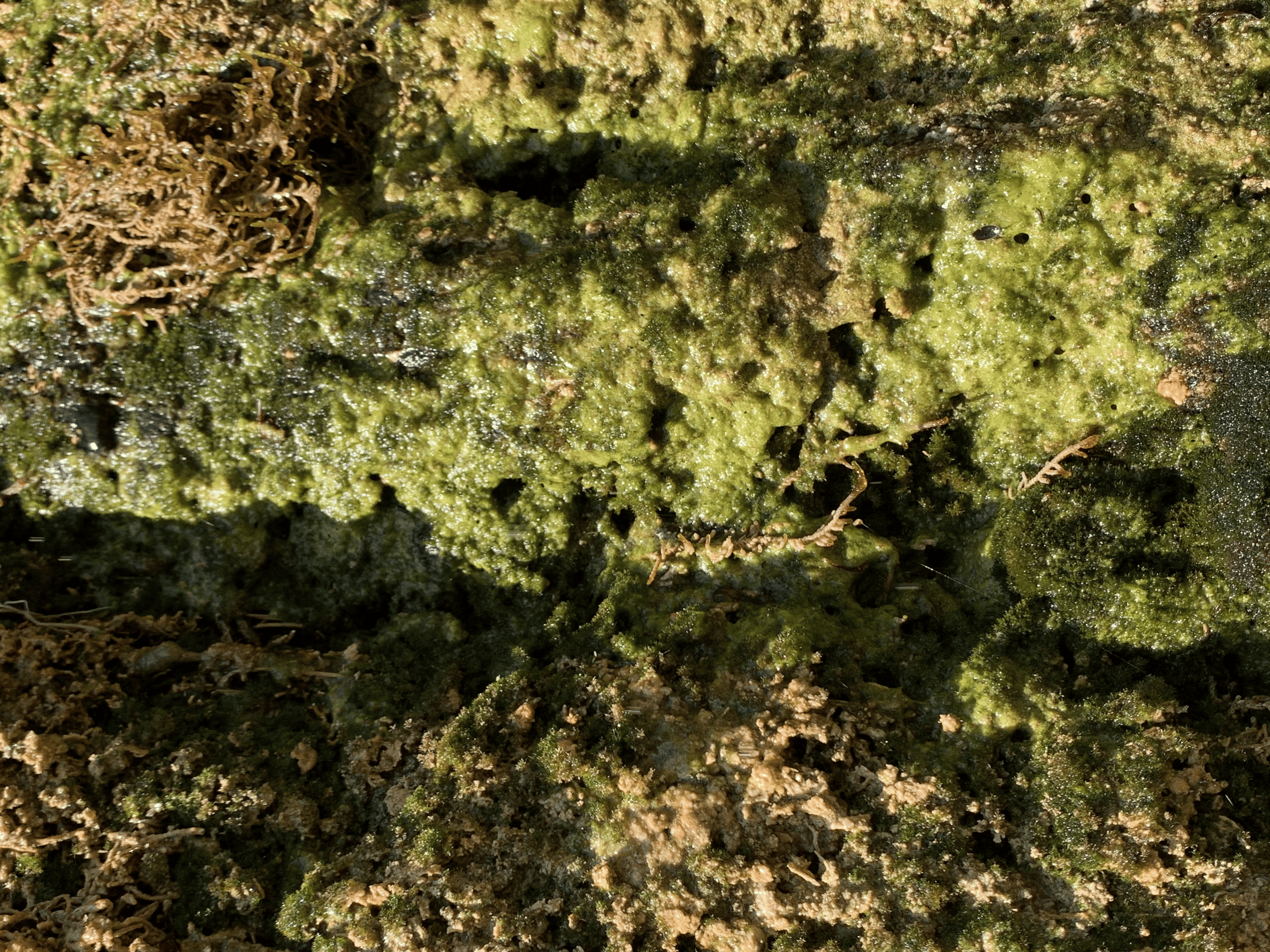 Image 17
