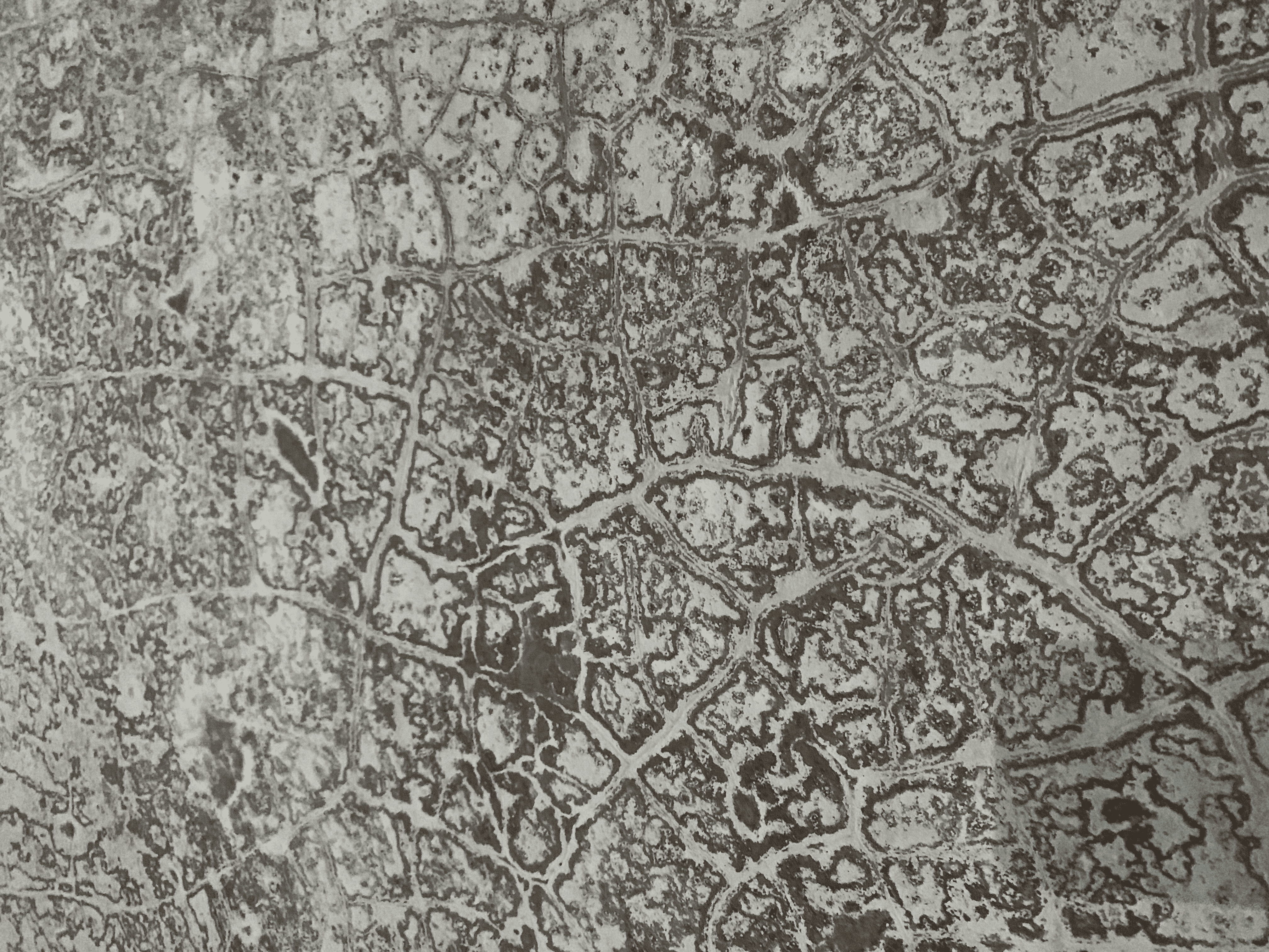 Image 23