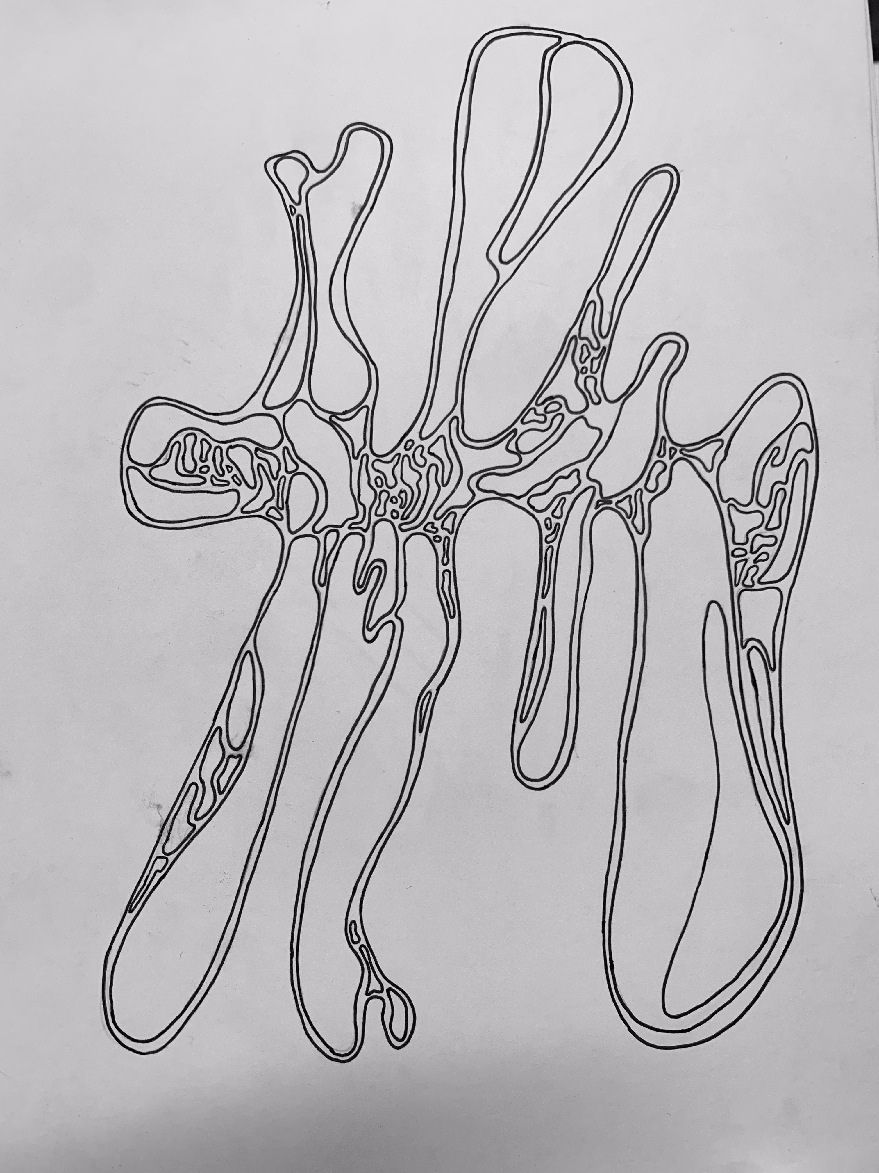 Image 39
